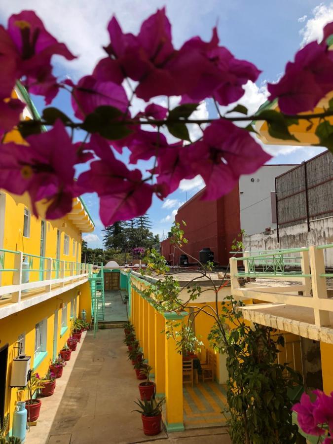 Casa Juarez Apartamento Oaxaca Exterior foto